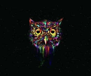 Acid Owl Live Wallpaper 