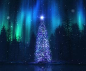 Sparkling Christmas Tree Live Wallpaper - MyLiveWallpapers.com