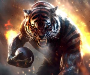 Football tiger live wallpaper