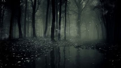 Fog Dark Forest Animated Wallpaper 