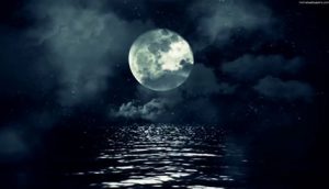 Full Moon Ocean Animated Wallpaper - MyLiveWallpapers.com