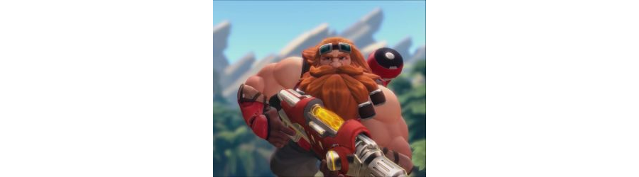 Barik Paladins Live Wallpaper